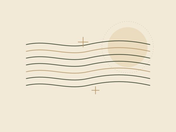Illustration au trait DAYA Studio